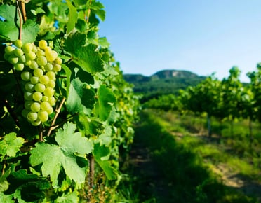 new blog headers (10)