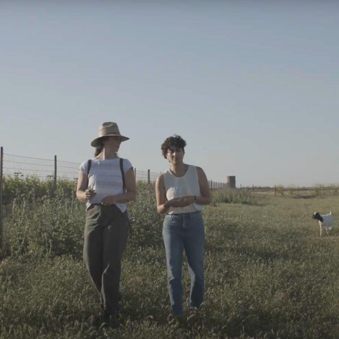 Square Posts for Webinars & Blogs - Instagram Format (1)